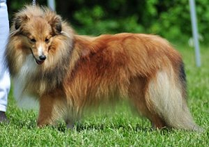 Clubjugendsiegerin 2010 Joko Ono vom Sternensee